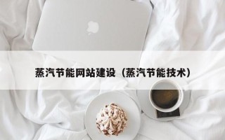 黔西南蒸汽节能网站建设（蒸汽节能技术）